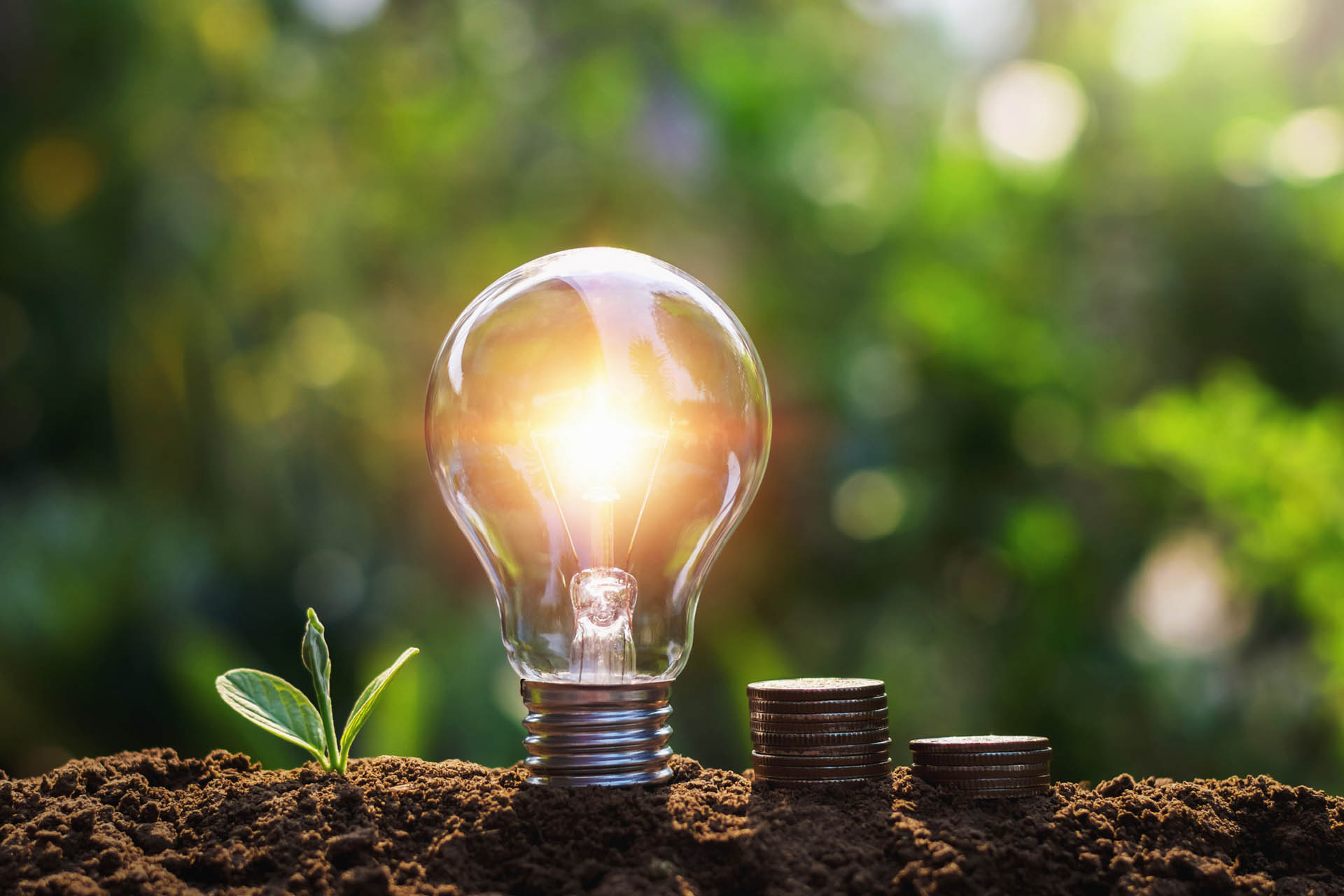 light-bulb-with-coins-young-plant-saving-concept